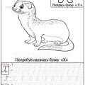 Раскраски и прописи с буквой Х